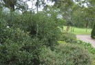 Rothwellresidential-landscaping-35.jpg; ?>