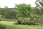 Rothwellresidential-landscaping-40.jpg; ?>